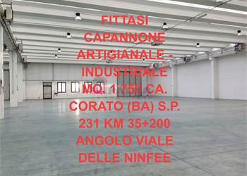 CAPANNONE INDUSTRIALE - ARTIGIANALE MQ.1750 CORATO