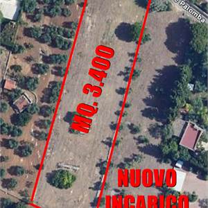 Terreno Edificabile In Vendita a Corato